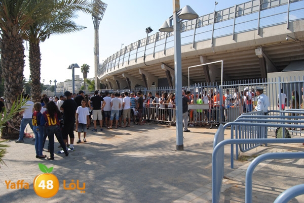 blomfeiled 803 (4).JPG